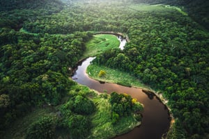 Ley de delitos ambientales Colombia