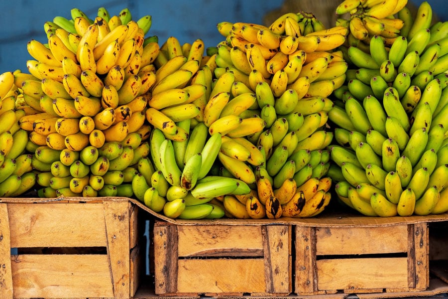 Comportamiento de la exportación de banano en Colombia